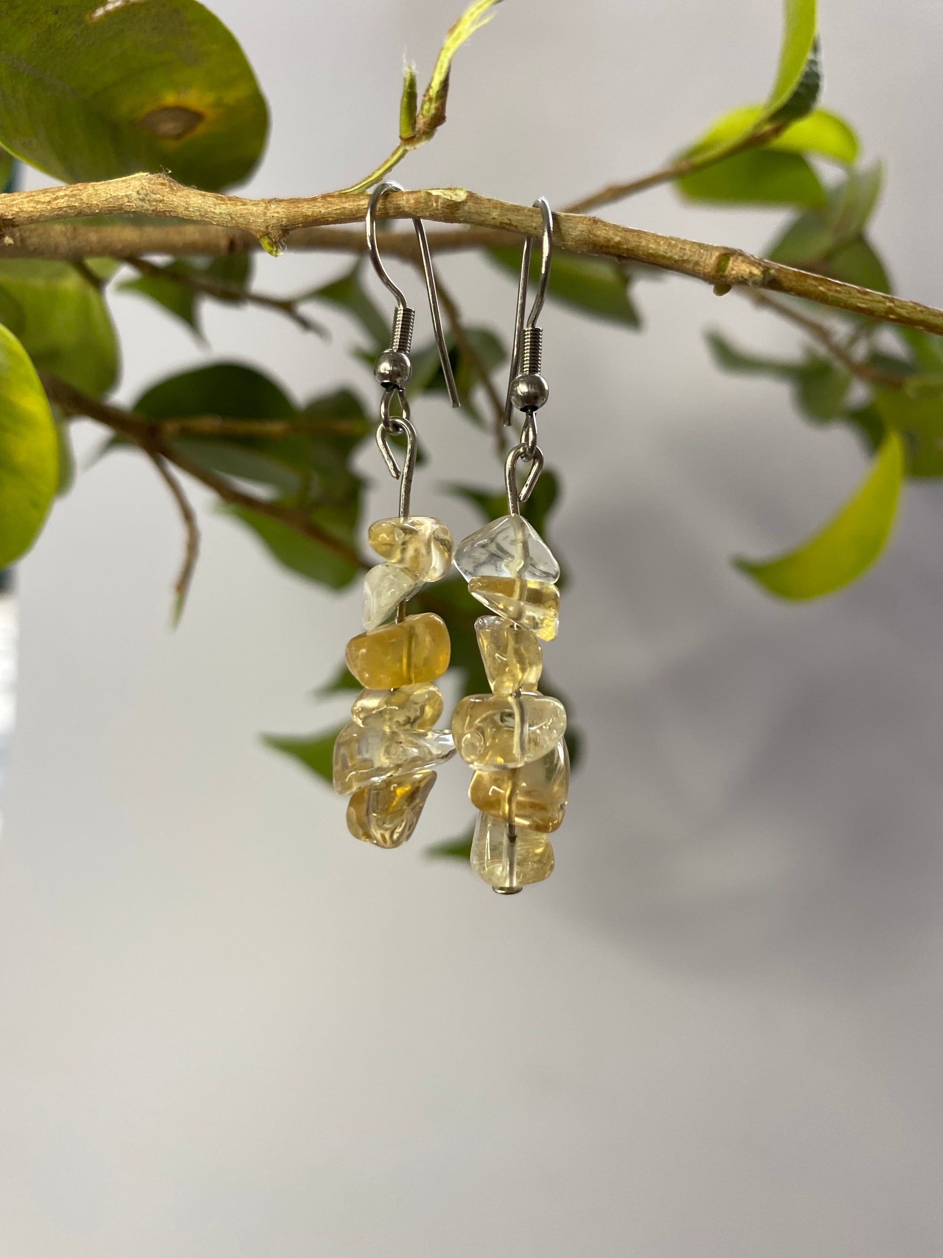 Stone Beaded Earrings - Sparkle Jewels