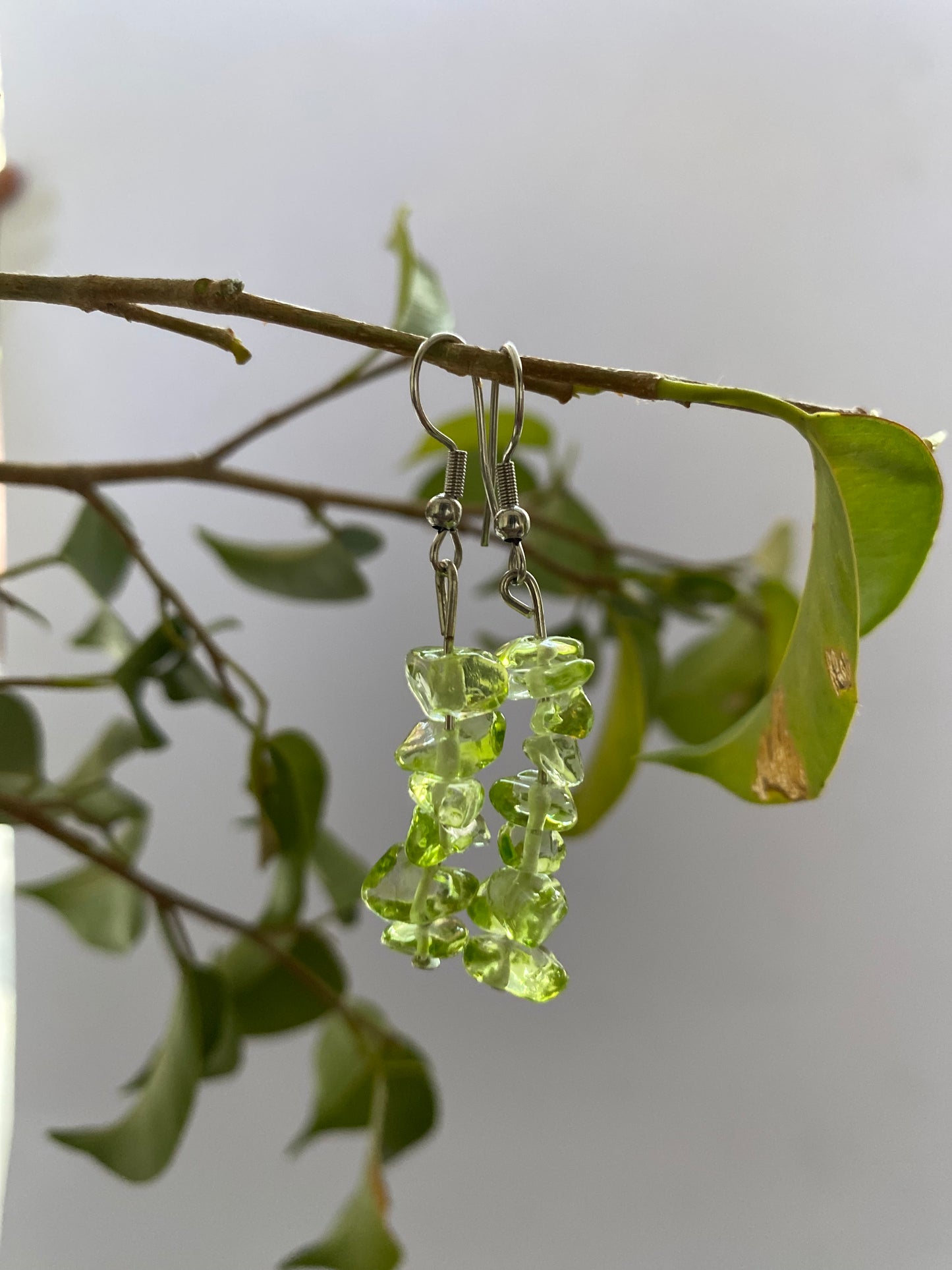 Stone Beaded Earrings - Sparkle Jewels