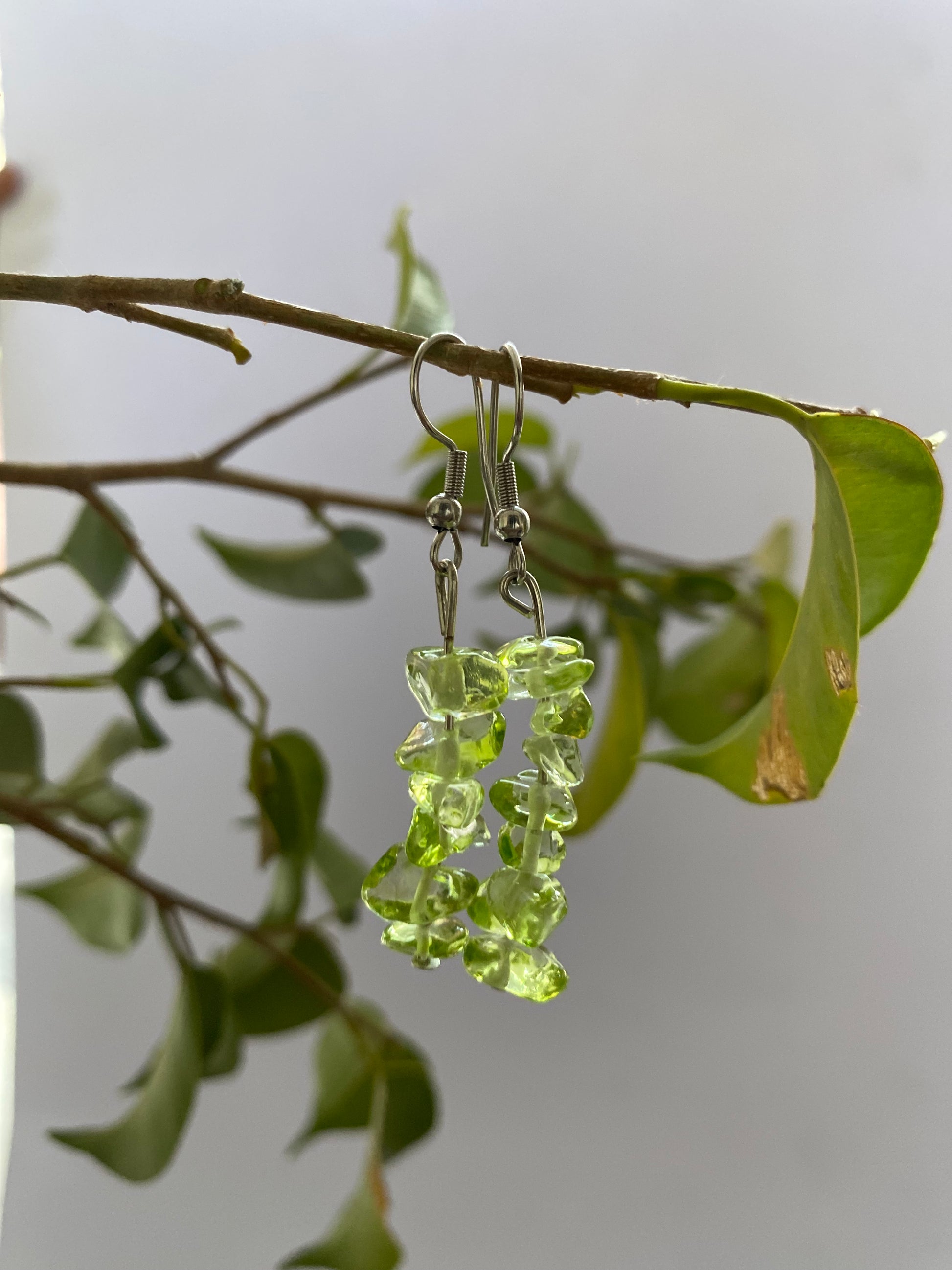 Stone Beaded Earrings - Sparkle Jewels
